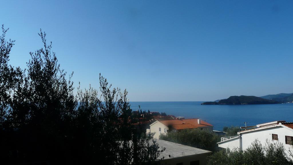 Guest House Zivkovic Sveti Stefan Exteriör bild