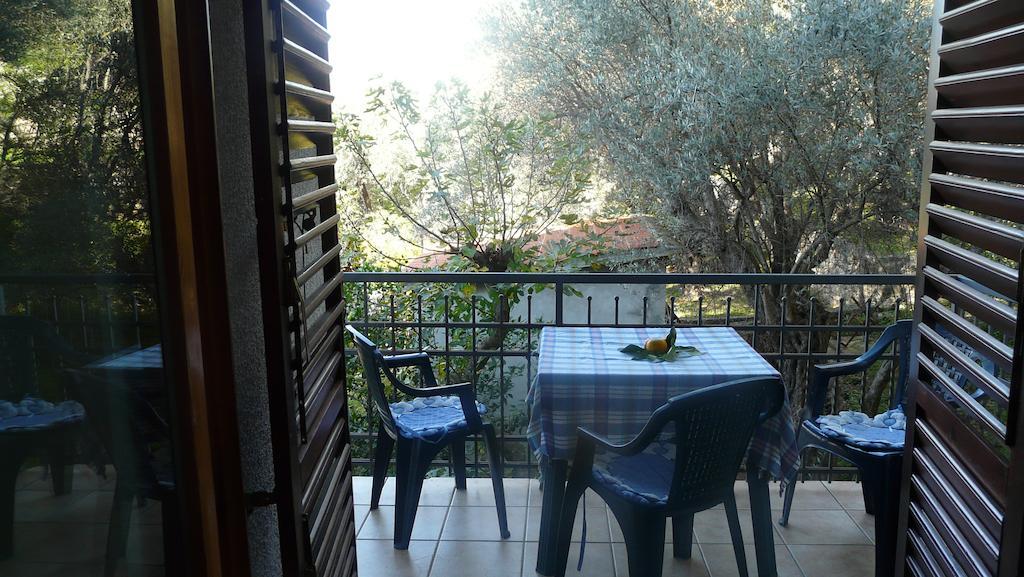 Guest House Zivkovic Sveti Stefan Rum bild